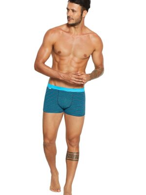 Set model Henderson