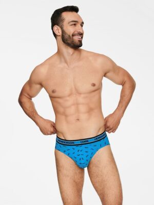Set model Henderson